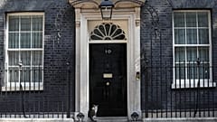 Who will let in Larry the cat when Theresa May leaves Downing Street?