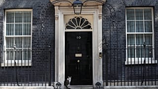 Who will let in Larry the cat when Theresa May leaves Downing Street?