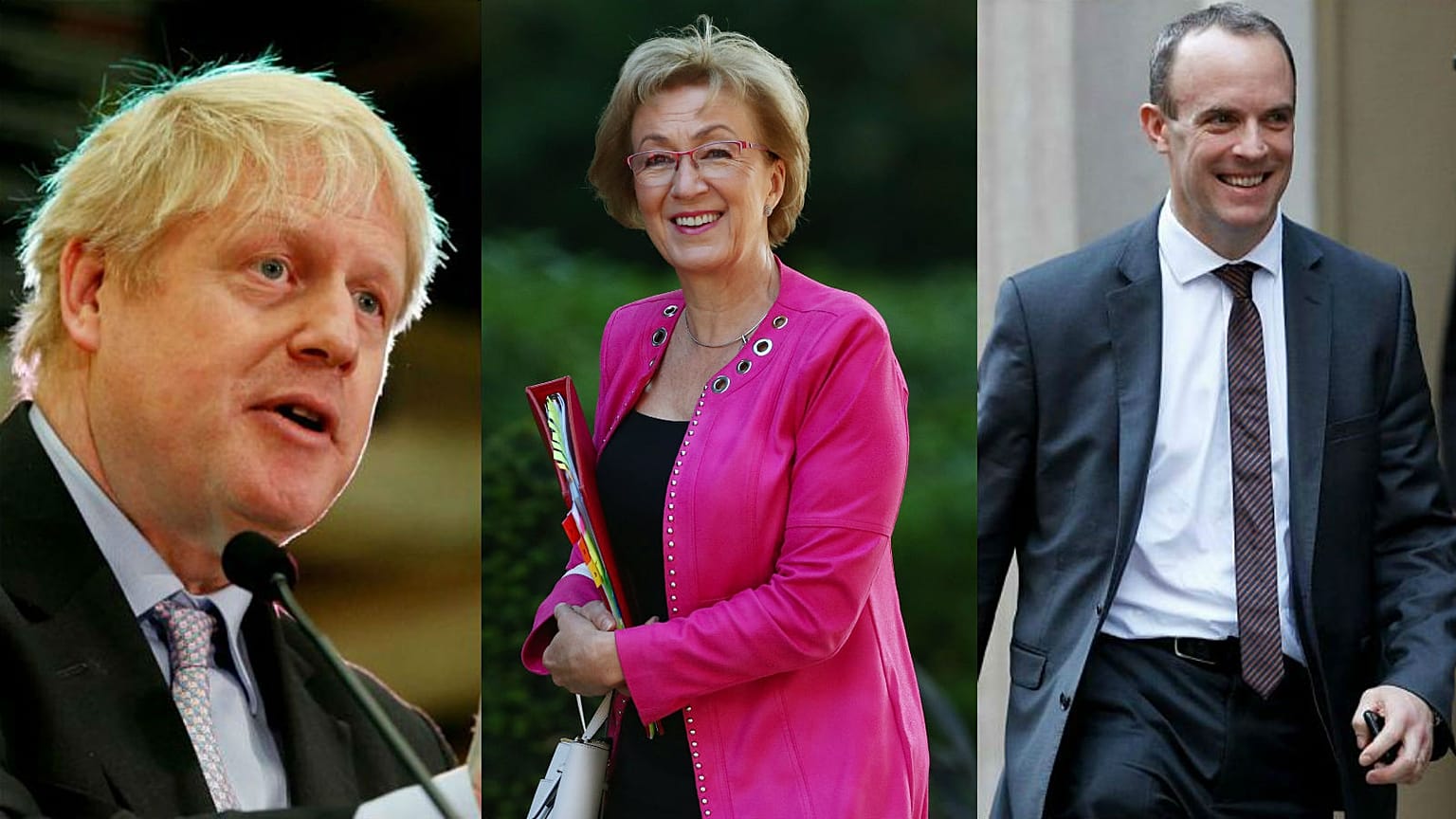 Raab, Leadsom and Gove join five others in race to replace May