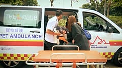 Hongkong: Ein Krankenwagen für Haustiere 