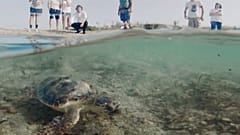 Tide turns for an Italian coastal wasteland