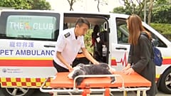 The pet ambulance service is run by animal lovers