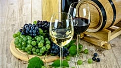 Russia bans public bodies from purchasing foreign wines