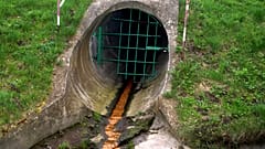 Dangerously high levels of antibiotics found in world's major rivers, says study