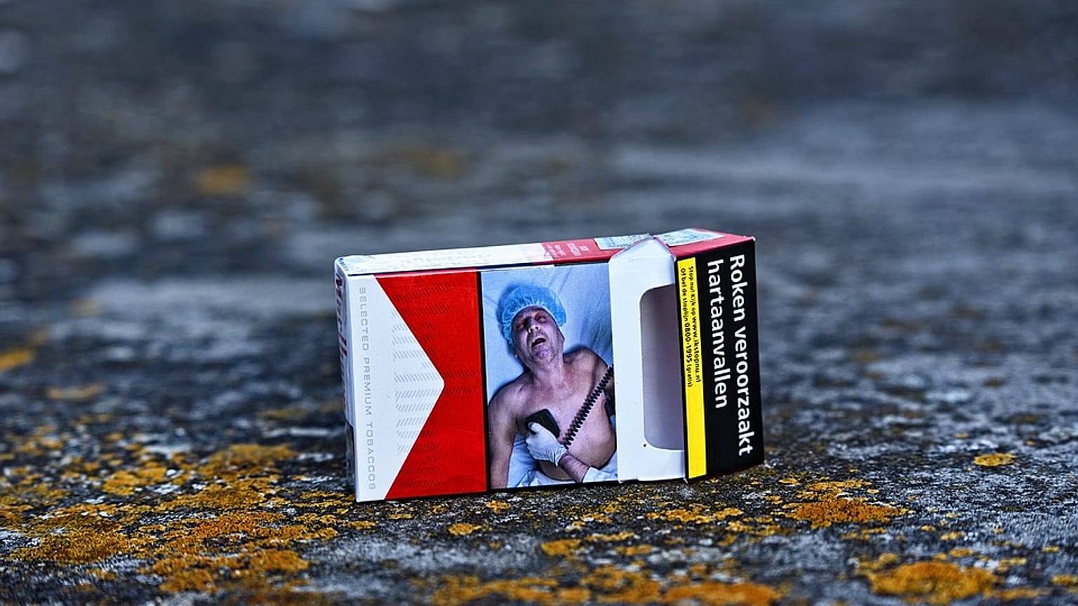 World No Tobacco Day: The price of tobacco is linked to proportion of smokers