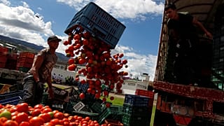 Video | Kolombiya'nın 'Tomatina' festivalinde tonlarca domates havada uçuştu