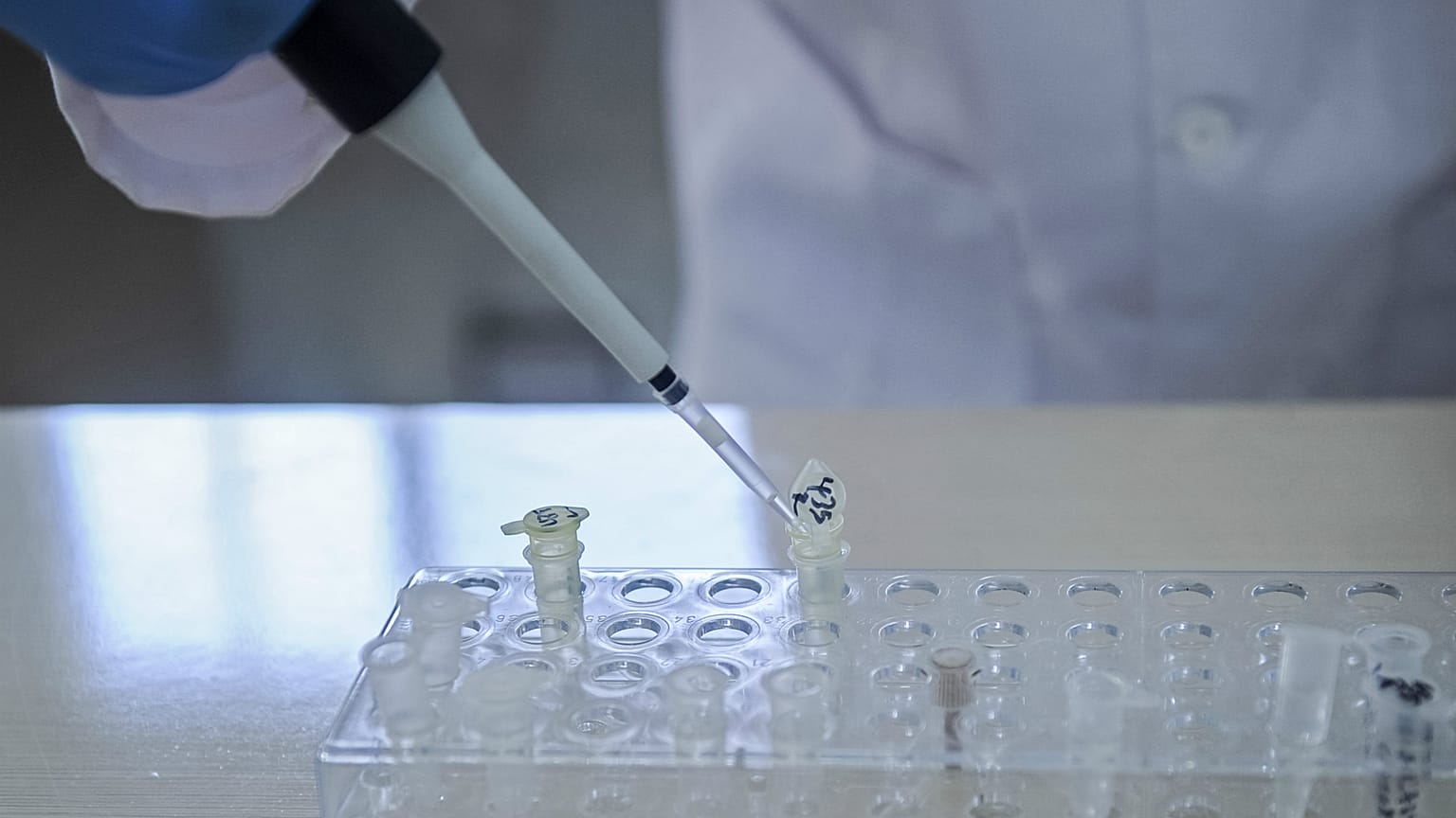 Çin'de ikizlerin genetiği ile oynamanın bedeli: Daha kısa ömürlü olabilirler