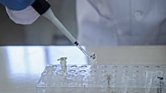 Çin'de ikizlerin genetiği ile oynamanın bedeli: Daha kısa ömürlü olabilirler