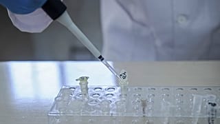 Çin'de ikizlerin genetiği ile oynamanın bedeli: Daha kısa ömürlü olabilirler