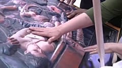 USA: Museen wollen Kunst für Blinde erlebbarer machen