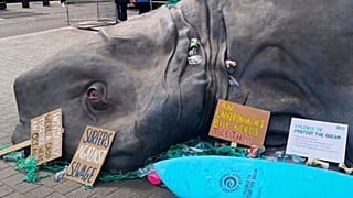 'Sea creature' washes up outside Parliament on World Environment Day