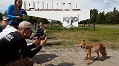 Chernobyl: boom di turisti dopo la serie tv di Hbo