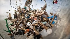 Yetişkin bir insan yılda ortalama 50 bin mikroplastik yutuyor