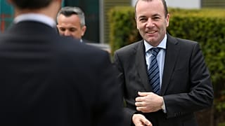 Manfred Weber