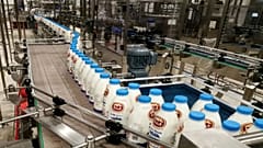 قطر موفق به خودکفایی در تامین شیر و صادرات آن شد