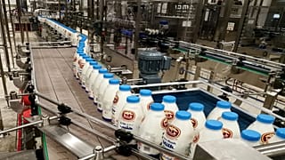 قطر موفق به خودکفایی در تامین شیر و صادرات آن شد