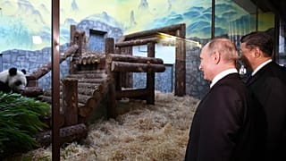Çin ve Rusya'dan panda diplomasisi: Putin ve Şi hayvanat bahçesini ziyaret etti