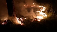 Brandenburgs Feuerwehr zu schlecht ausgerüstet?