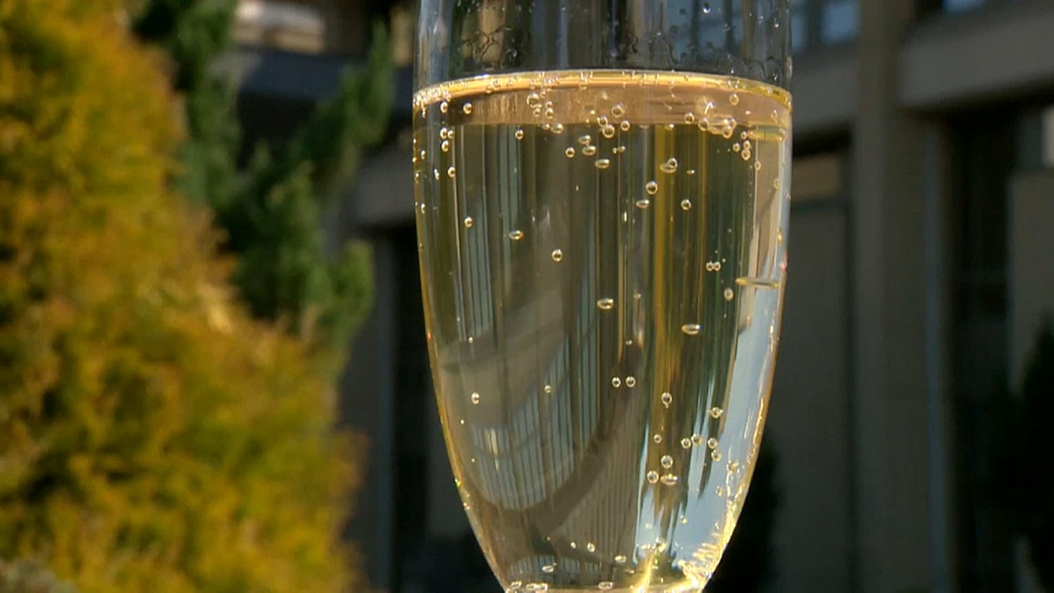 Сейм запретил "детское шампанское"