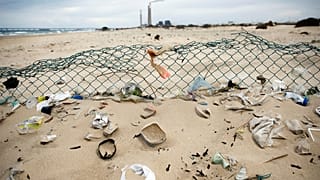 Полоса пляжа в районе Ашкелона (Израиль), февраль 2019 г.