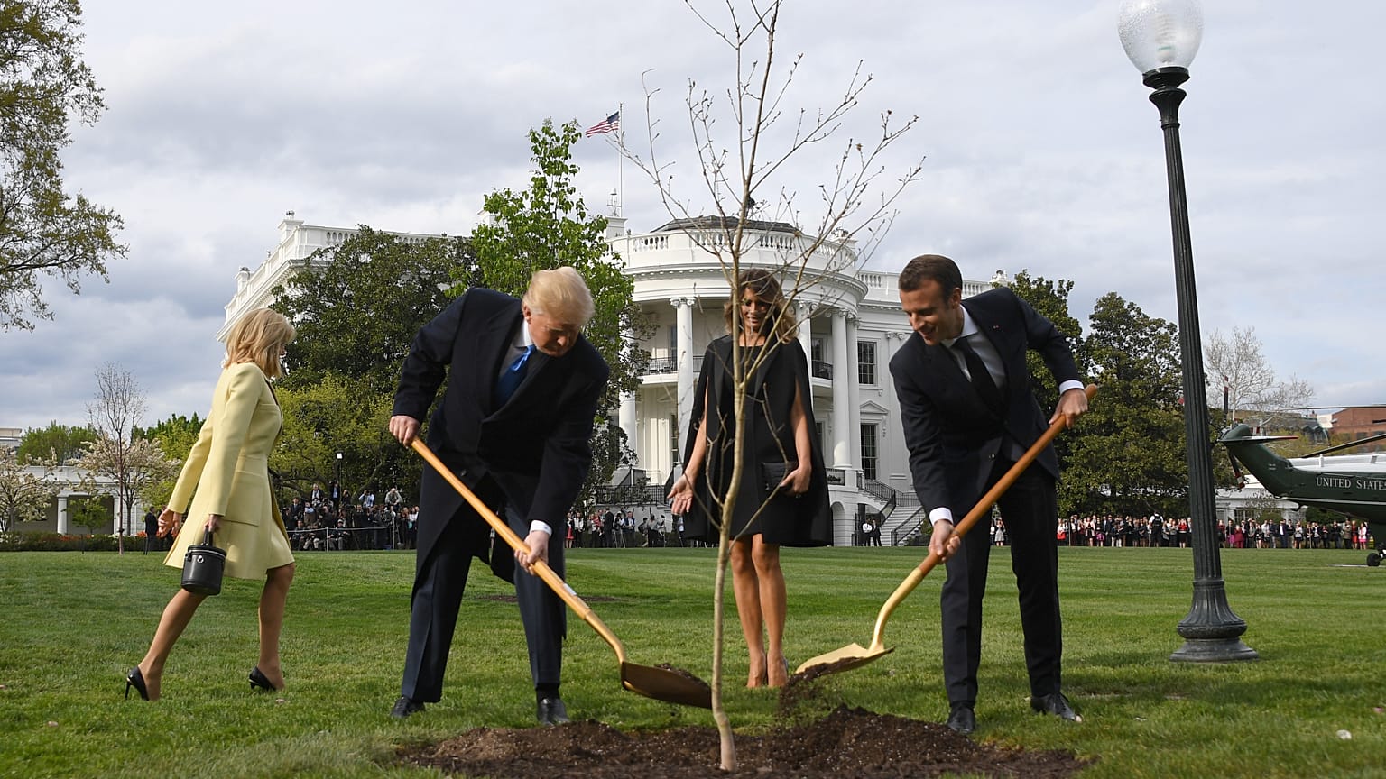 Macron ile Trump'ın dostluk ağacı kurudu