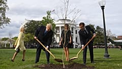 Macron ile Trump'ın dostluk ağacı kurudu