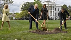 Has the tree symbolising the Trump/Macron friendship died?