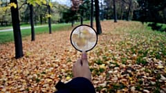 ششصد گونه گیاهی در ۲۵۰ سال اخیر منقرض شده‌اند
