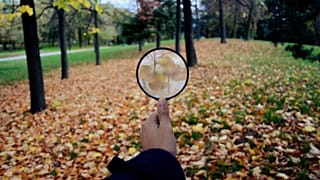 ششصد گونه گیاهی در ۲۵۰ سال اخیر منقرض شده‌اند