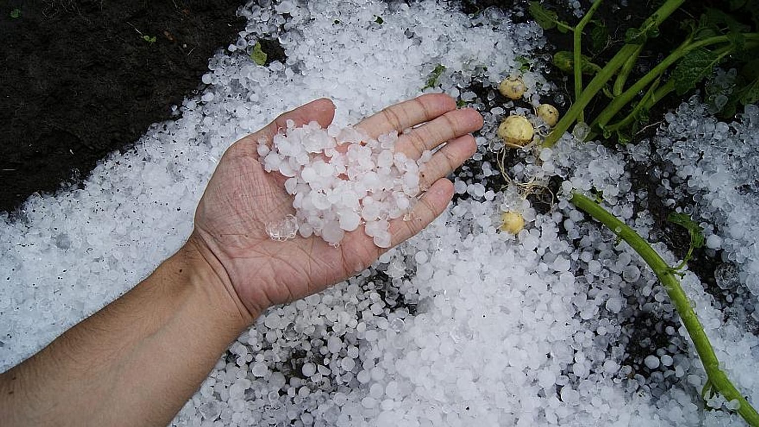 'Doomsday' hail storm smashes windows in Bavaria