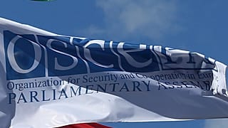 For the sake of security and political stability, parliaments must pursue sound governance ǀ View