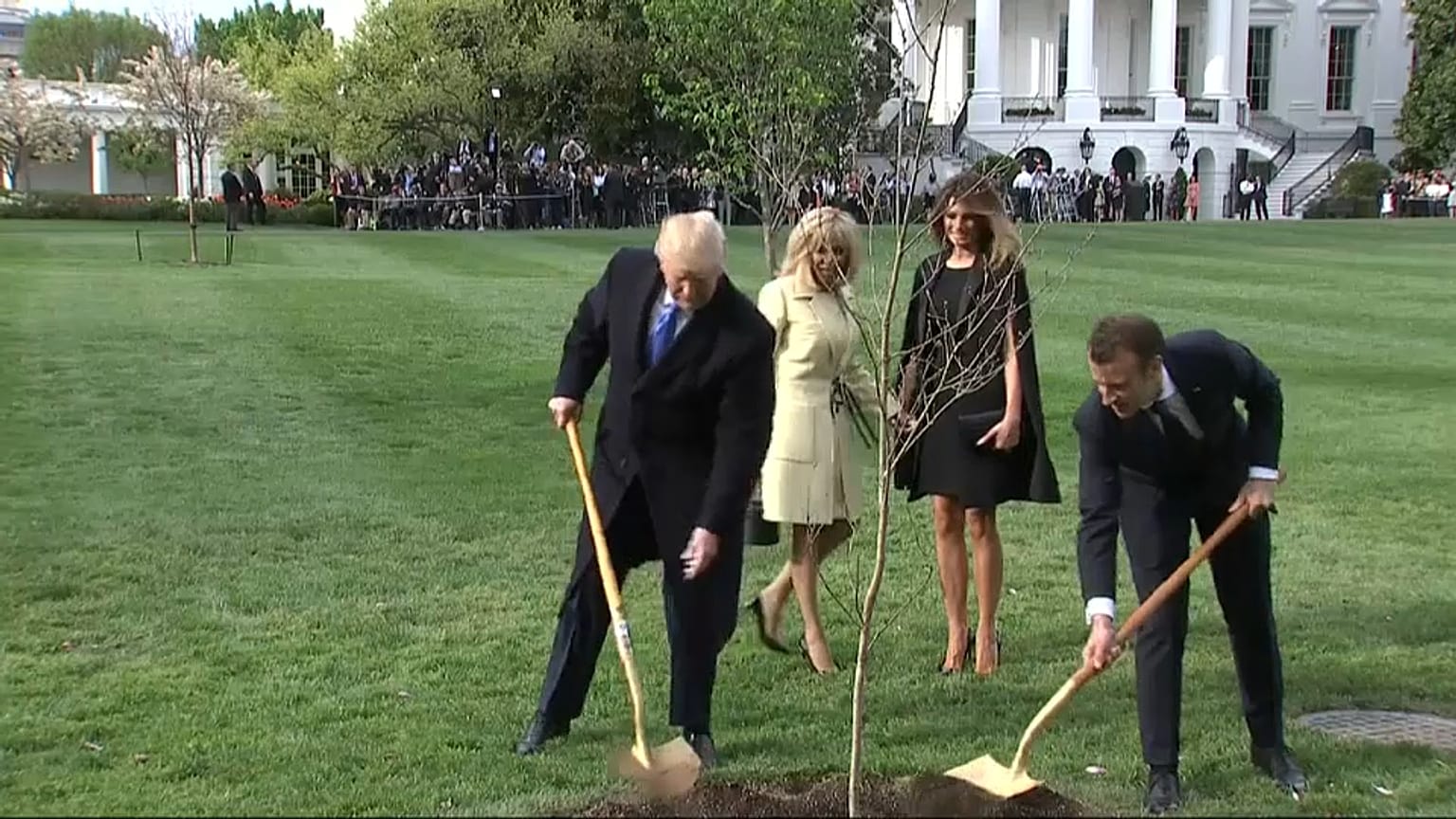 "Kein Drama": Macron verspricht Trump neuen Freundschaftsbaum