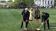 "Kein Drama": Macron verspricht Trump neuen Freundschaftsbaum