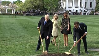 "Kein Drama": Macron verspricht Trump neuen Freundschaftsbaum