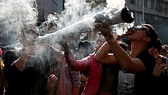 فيديو: بعد تقنينها لغايات ترفيهية مستهلكو الماريجوانا الطبية يطلقون صيحة فزع 