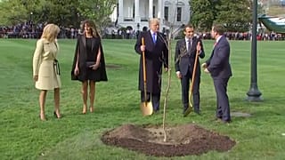 Macron új facsemetét küld Washingtonba