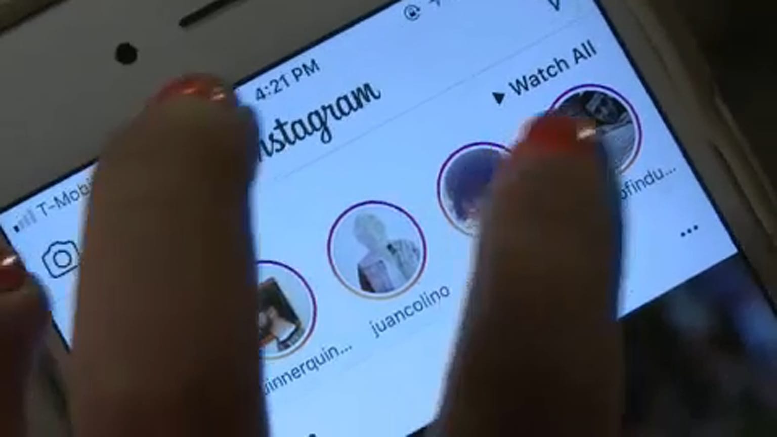 Facebook, Instagram & Co in der EU immer beliebter