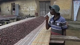 Ghana y Costa de Marfil suspenden sus ventas de cacao en busca de un precio justo