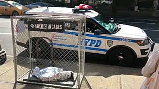 Pop-up-Kunst in Manhattan: 24 Kinderpuppen in Käfigen