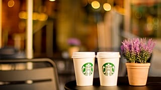 Starbucks Coffee Cups
