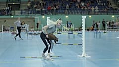 Une candidate échoue au saut d'obstacle