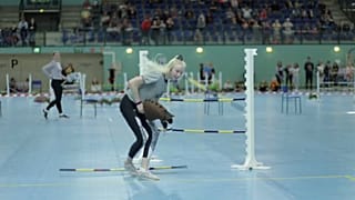 Une candidate échoue au saut d'obstacle