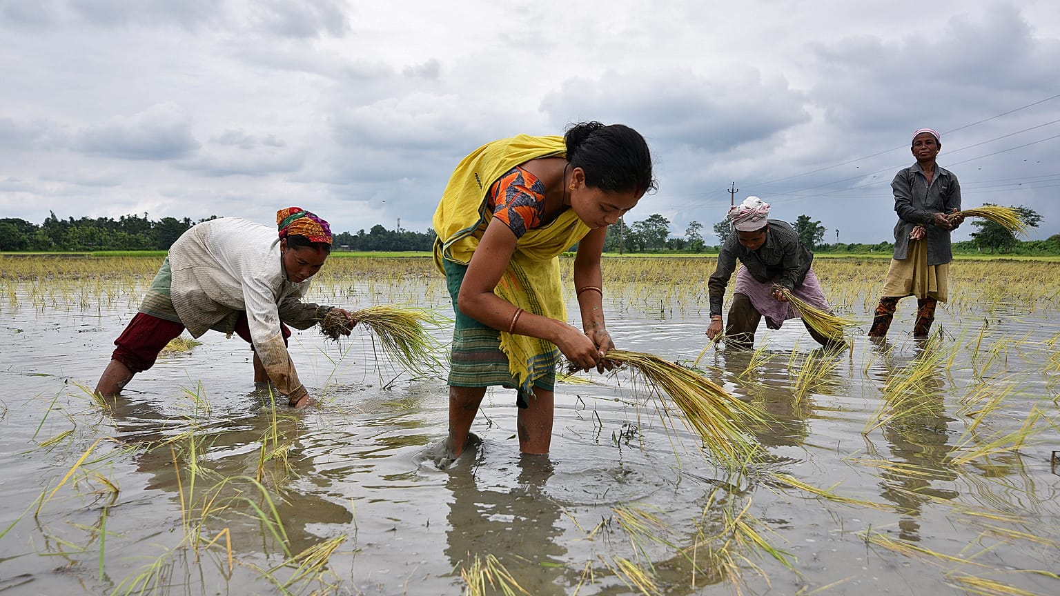 Agriculture is one of the culprits behind India's water crisis