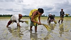 Agriculture is one of the culprits behind India's water crisis