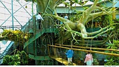 Dubai im Sommer: coole Indoor-Attraktionen
