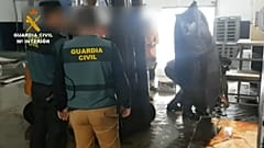 Detenidos con dos toneladas de atún rojo
