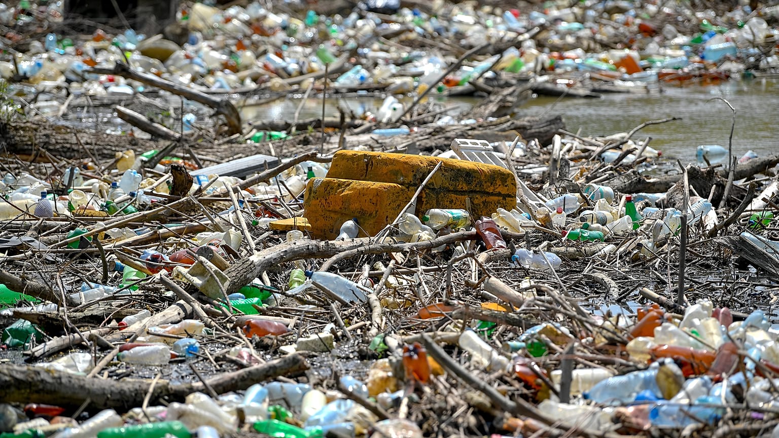 3 nap alatt 3 tonna szemetet szedtek ki önkéntesek a Tisza-tóból