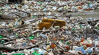 3 nap alatt 3 tonna szemetet szedtek ki önkéntesek a Tisza-tóból