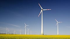 Windfarm 