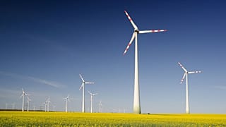 Windfarm